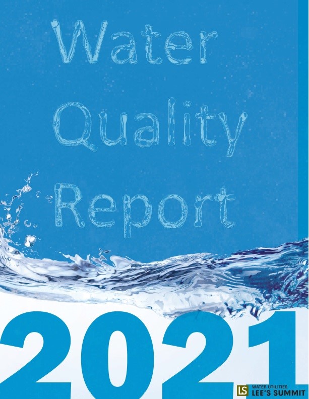 Water Quality Report 2021